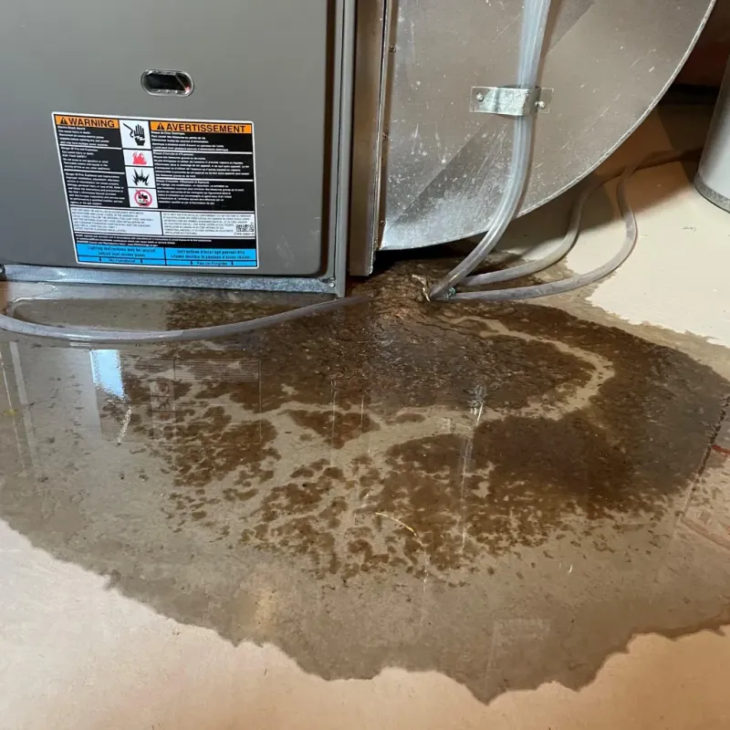 Appliance Leak Cleanup in Artondale, WA